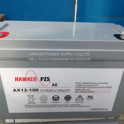 HAWKERPZS AX12-200 AGV Battery AX