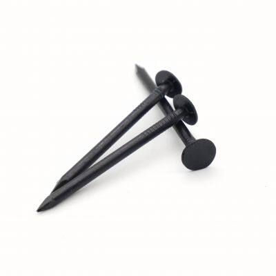 Blacked Common Wire Nails Q195 Material with Anti-Rust Treatment 25kg per Bag