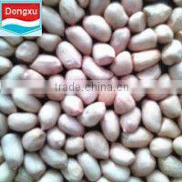 peanut kernels baisha 40/50