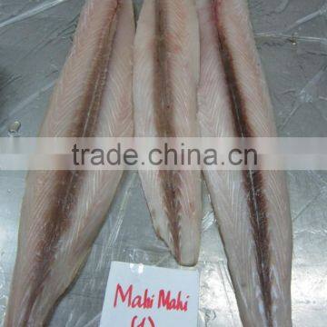 Frozen Mahi Mahi Fillet skinless