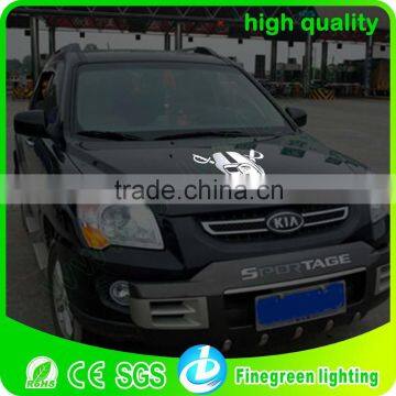 Waterproof Sound Activated el Car Sticker, el Car Body Sheet, photo-5