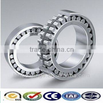 Low Price! Cylindrical Roller Bearing NU304