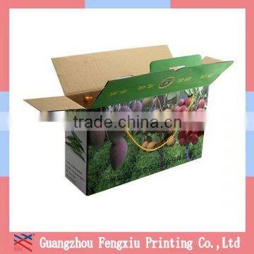 Custom Printed Apple Fruit Corrugated Packaging Shipping Boxes