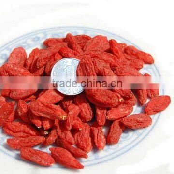 goji berry Extract Chinese Wolfberry