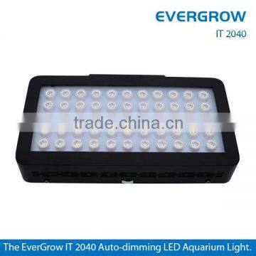 EVERGROW IT2040 LED Aquarium Light,Touch Screen,Remote Control