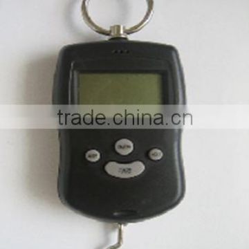 Electronic Hanging Scales