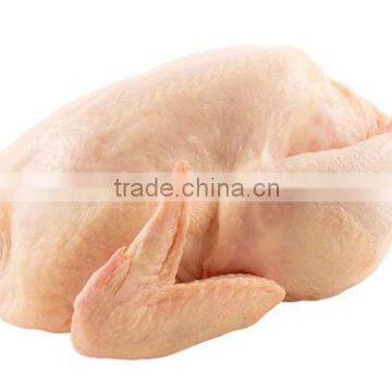 BRAZILIAN HALAL FROZEN WHOLE CHICKEN AND CHICKEN SHAWAMA !!! PREMIUM SUPPLIER !!!