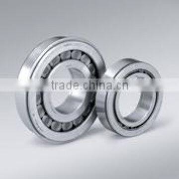 NU4 series, World famous brand NSK/NTN/KOYO/FAGE with different bearing size