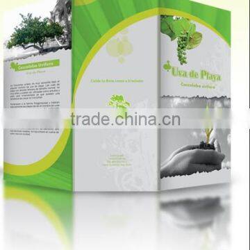 Cheap Tri Folding Adverting Paper Brochure Printing