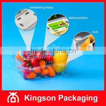 Disposable Clear Plastic Container for Fruit