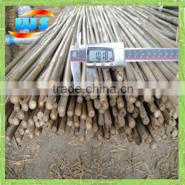 Home decoration of little bamboo cane 3.5' x 10/12mm