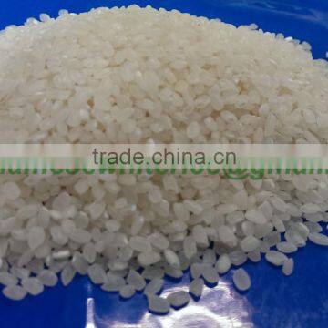 JAPONICA RICE - VINAFOOD1