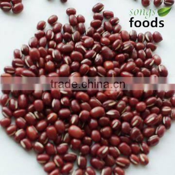 Adzuki beans 2014