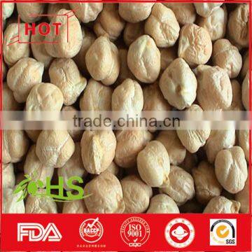 Wholesale Chickpea With Great Quality and Best Price