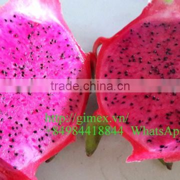 VIET NAM RED DRAGON FRUIT