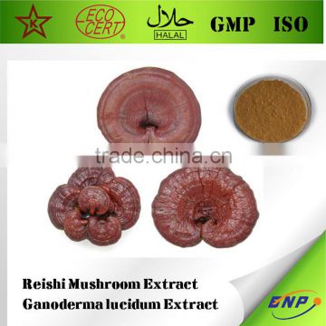 100%natural Reishi Mushroom Extract