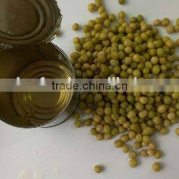 Fresh Green Peas in Tins Canned Vegetable