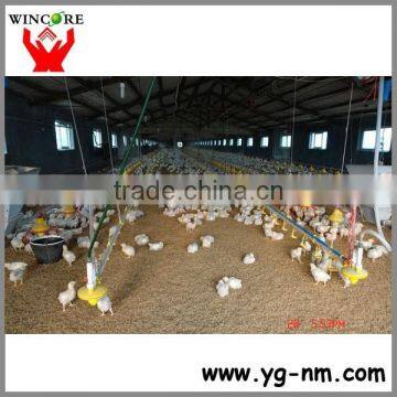 Automatic poultry feeding system for broiler chicken