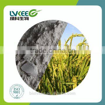 Alibaba Lvkee Supply 100 billion cfu/g Bacillus Subtilis for agriculture