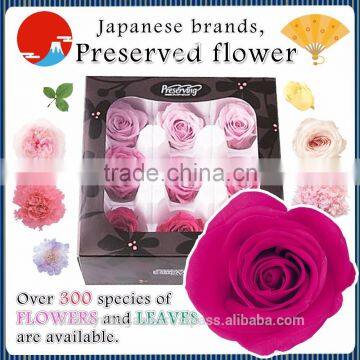 Beautiful and Pretty preserved wedding flower with various species