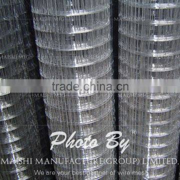 Construction Welded Wire Mesh photo-2