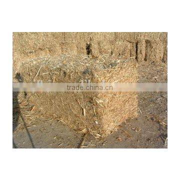 Easy to Install,no Need of Floor Foundation Baler Machine/baler Machine for Grass photo-4