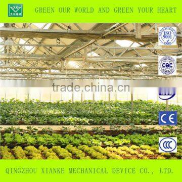Double-layer Film Greenhouse for Seeding photo-3