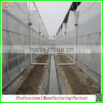 Commercial Plastic Vegetable Greenhouse for Sale With Seedbed photo-3