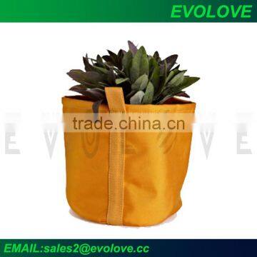 Agriculture plant grow bag