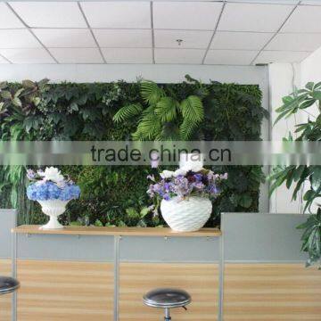 Vertical grass climbing green wall