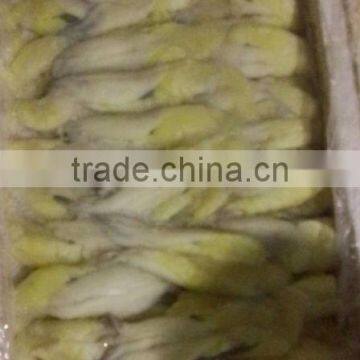 Illex Sqiud Roe photo-2