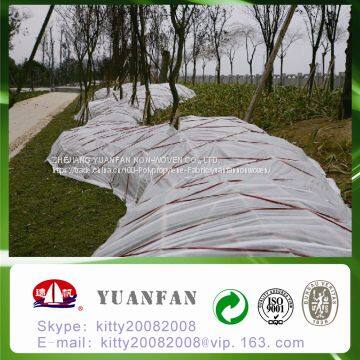 2m Width Nonwoven Agriculture Covering photo-4