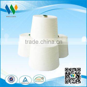 Spun Polyester Yarn for Sewing Thread Raw White 40S/2/3 photo-4
