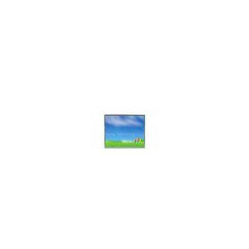 15 Inch 1024x768 Pixels and 6bit + FRC Color VESA DPMS Compliant Industrial LCD Panel
