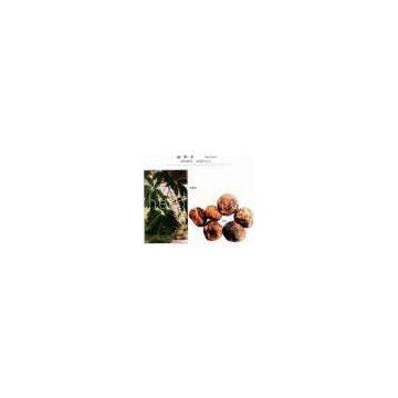 Horse Chestnut P.E., Aescin 20% UV, Escin 20%...