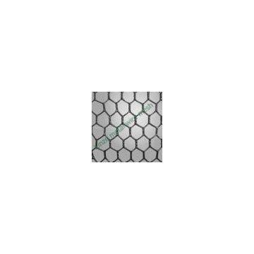 Hot-dip Galvanized Hexagonal Wire Mesh photo-3