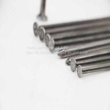 cheap price polished common nails