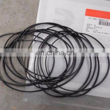 3907177 DCEC silicone o-ring