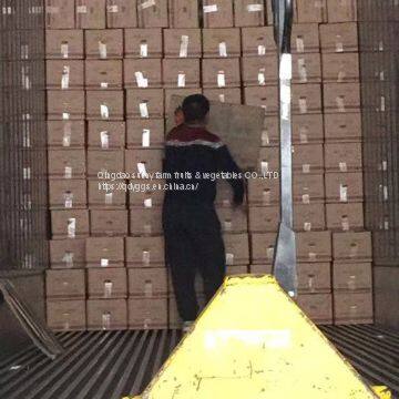 Chinese Cabbage photo-4