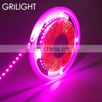 China GRILIGHT 3528 60 120 leds 6 to 7lm pink color led light