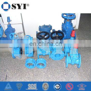 DN1000 Eccentric Large Diameter Butterfly Valve 002 photo-6