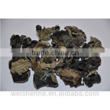 Dried black Fungus mushroom