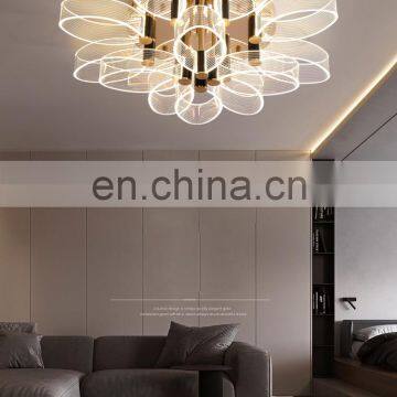 Горячее предложение! Современный ковровый подвесной светильник для дома. Поставляется из Чжоншана. photo-4