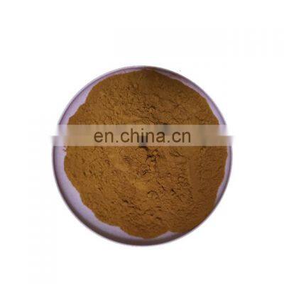 100% Pure Organic Chaga Mushroom Extract Powder