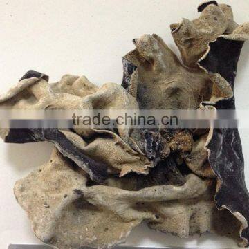 Chinese White Black Fungus Dried