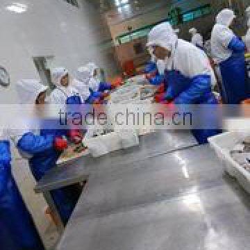 Ningbo Blue Whale Import & Export Co., Ltd.