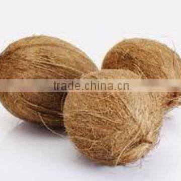 fresh semi mature coconut