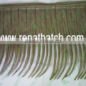 palm leaf thatch