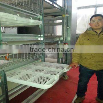 fully automatic broiler chickens cage /breeding chicken cage