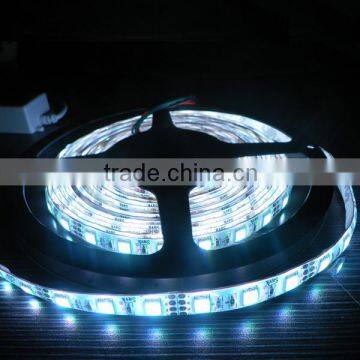 2016 Festalight Factory Price 5m/roll Ourdoor Christmas Swimming Pool Lights Smd 3528 Flxible Led Light Strip 5050 Blue ce Rohs photo-2